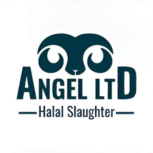 Logo Angel Ltd